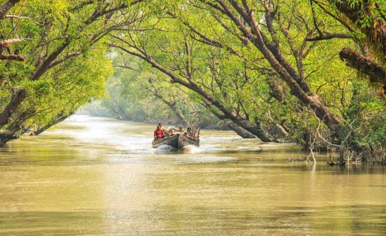 Kolkata Tours 8 sunderban